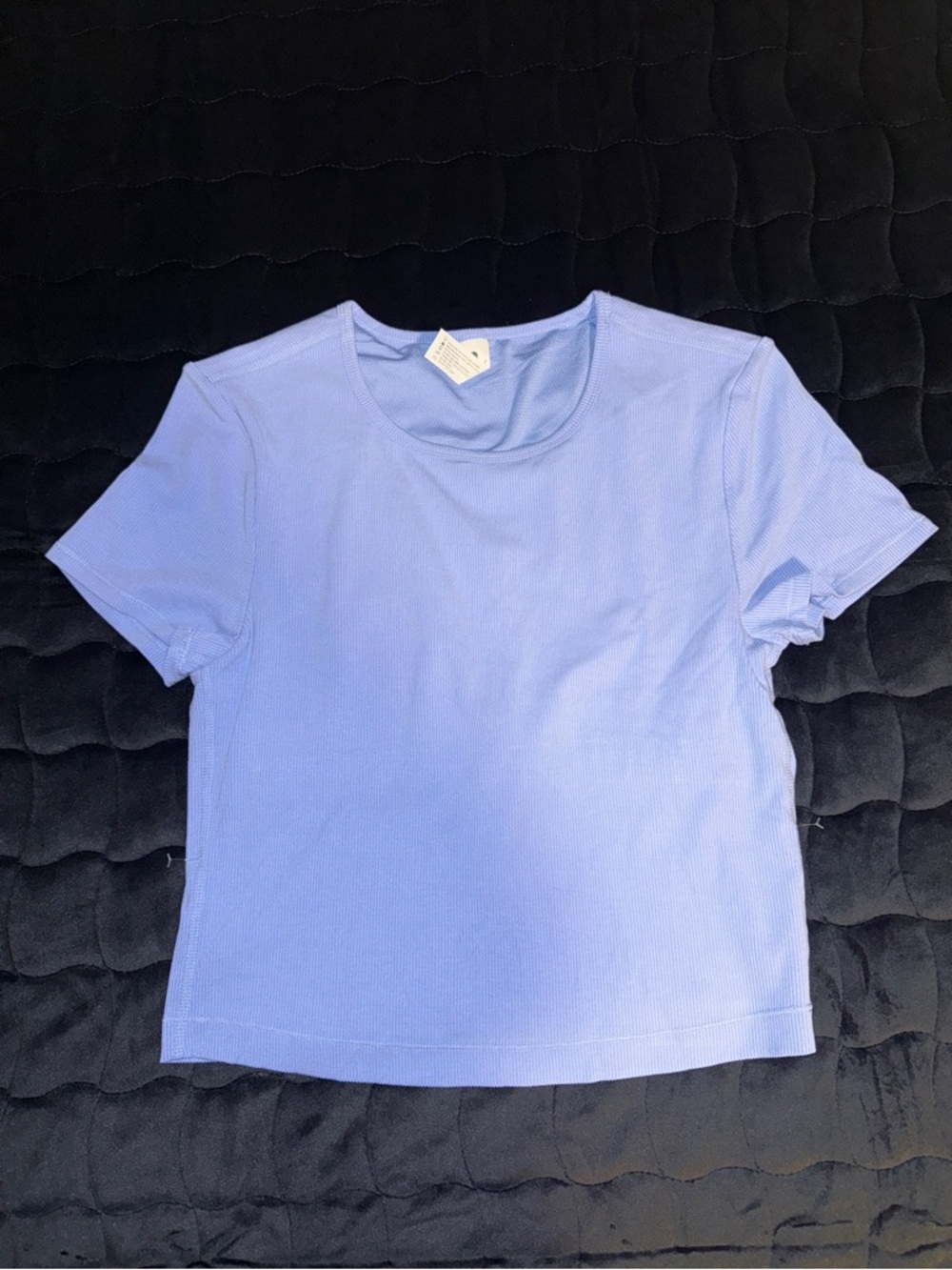 NWOT! Yogalicious Heavenly Ribbed Tara Crop Short Sleeve Top